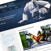LionStudio открывает сервис dvigg.ru!